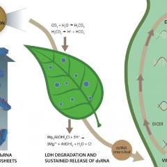 ARC Industrial Transformation Research Hub for Sustainable Crop Protection 