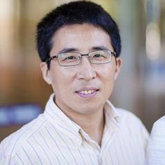 Professor Lianzhou Wang