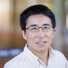 Professor Lianzhou Wang