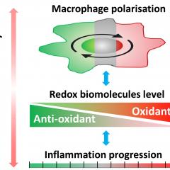 Monitoring inflammation